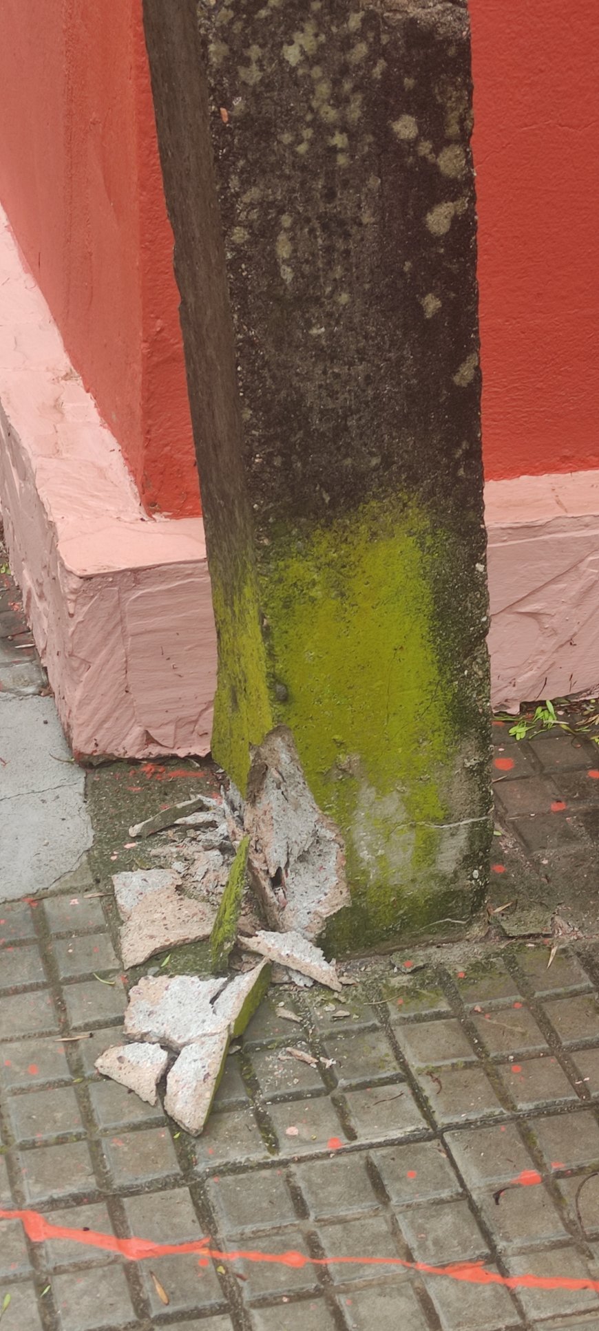 En Ciudad del Carmen cayó sobre la línea de energía de UTE, parte de un árbol.