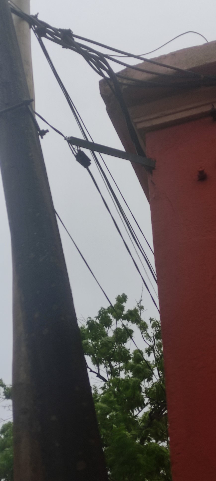 En Ciudad del Carmen cayó sobre la línea de energía de UTE, parte de un árbol.