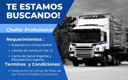 Se necesita chofer Profesional radicado en Paso de los Toros o Pueblo Centenario.