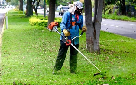 Precaución por trabajos de mejora de espacios verdes
