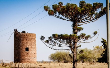 Este fin de semana se realizará el 15to Encuentro Británico Oriental en San Jorge