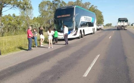 Ómnibus colisionó con un equino, por suerte sin lesionados.