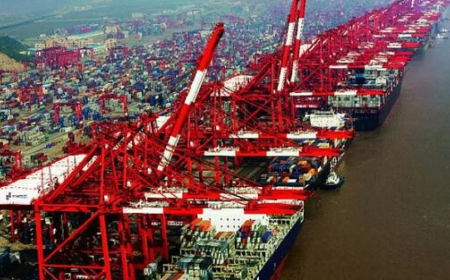 Habilitación de China para mondongos y librillos generaría US$ 40 millones adicionales a cadena cárnica