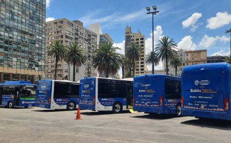 MIEM entregó ómnibus eléctricos a Maldonado, Flores, Tacuarembó y Salto.
