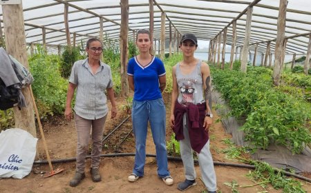 Se concretó con éxito huerta Comunitaria en La Paloma.