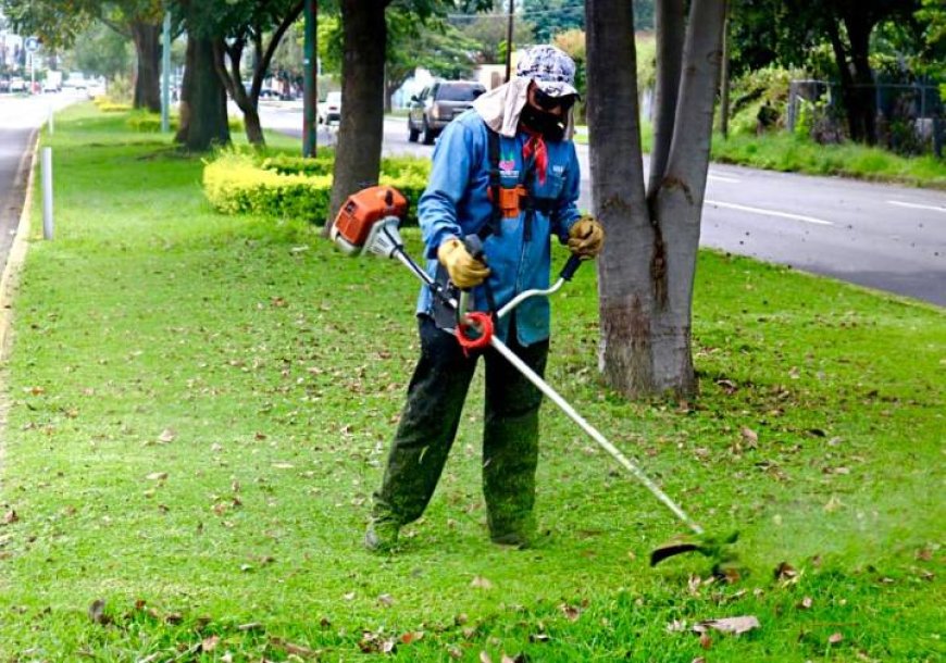 Precaución por trabajos de mejora de espacios verdes