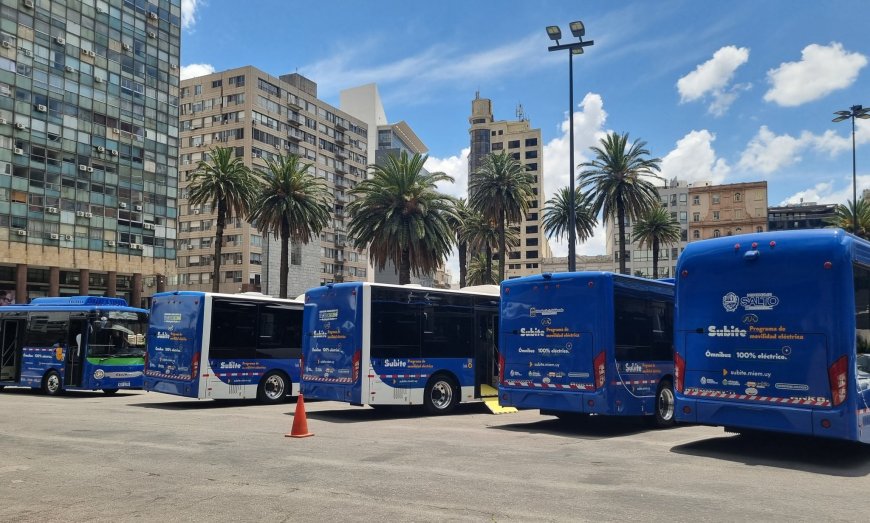 MIEM entregó ómnibus eléctricos a Maldonado, Flores, Tacuarembó y Salto.