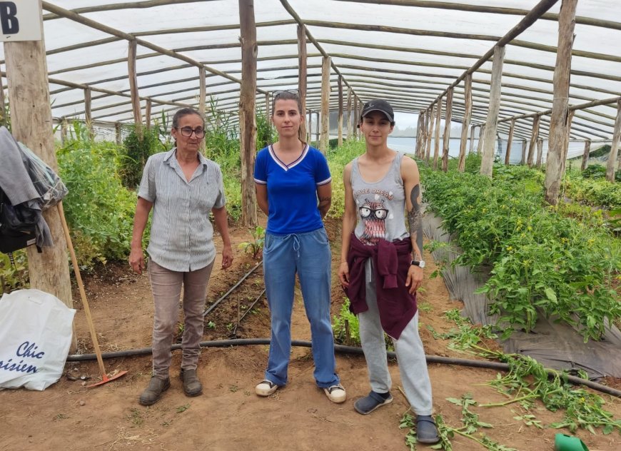 Se concretó con éxito huerta Comunitaria en La Paloma.