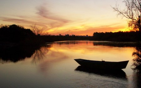 Informe del Cecoed: situación del río Yi.