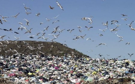 Se efectivizó compraventa de predio para disposición final de residuos.