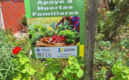 Visita de técnicos de Desarrollo al Interior del departamento