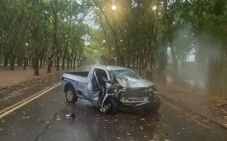 Camioneta impactó contra un árbol en Av. Churchill.