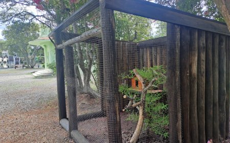 El Bioparque "Washington Rodríguez Piquinela" se prepara para recibir a un nuevo integrante.