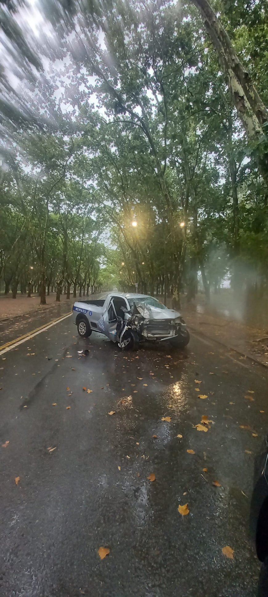 Camioneta impactó contra un árbol en Av. Churchill.