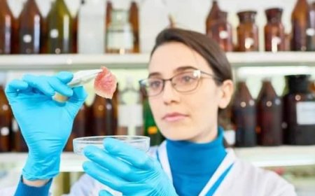 UTU llama a aspirantes para cubrir cargo docente de Anatomía y Fisiología Animal en Durazno