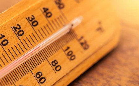 Comunicado conjunto ante ola de calor extendida