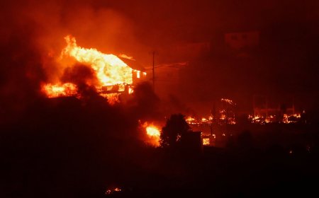 Al menos 46 personas murieron por los incendios forestales en Chile.