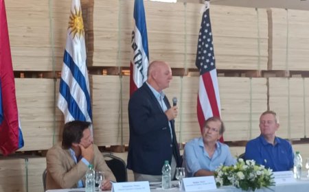 Empresa maderera se instaló en Rivera y brindará 100 puestos de trabajo.