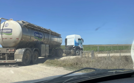 Conaprole récord: en 2023 superó los US$ 1.000 millones en ventas.