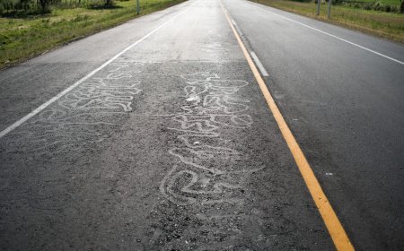 Después de Turismo comienza la obra de doble vía en ruta 1 desde Tarariras hasta Riachuelo.