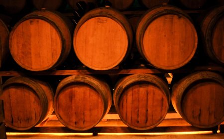 En 60 días Uruguay recibirá los primeros vinos importados sin alcohol.