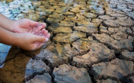 El agro apunta a "cosechar agua" para enfrentar una nueva sequía