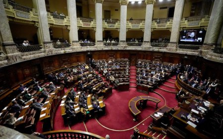 En el Parlamento, Gobierno y oposición debaten sobre los traslados de ASSE