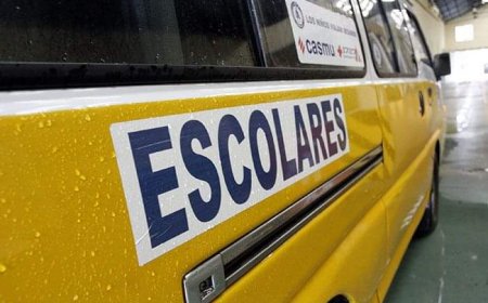 Desde hoy varías escuelas de Montevideo se ven paralizadas por paros zonales de maestros