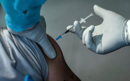 Comisión Asesora recomendó al MSP no vacunar contra el dengue