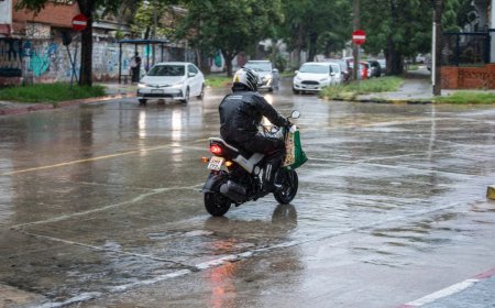 Montevideo: Más de 20 árboles caídos, cunetas obstruidas y calles inundadas
