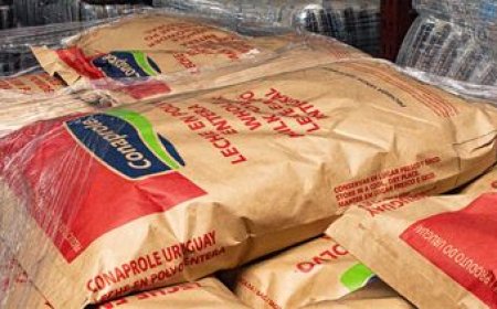 Peligra el abastecimiento por medidas de fuerza en Conaprole