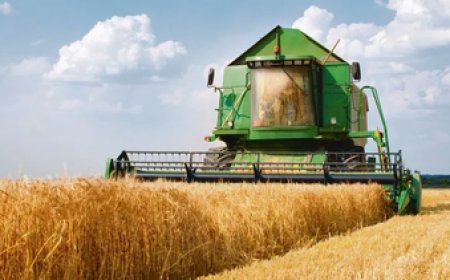 Comenzó el censo agropecuario, ¿cuáles son las formas de hacerlo?