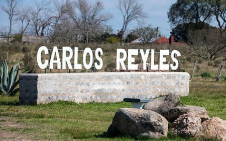 Hombre condenado a 12 meses de libertad a prueba por hurto agravado en comedor municipal