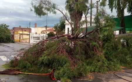 Florida fue afectada por una turbonada con vientos que superaron los 113 km/h