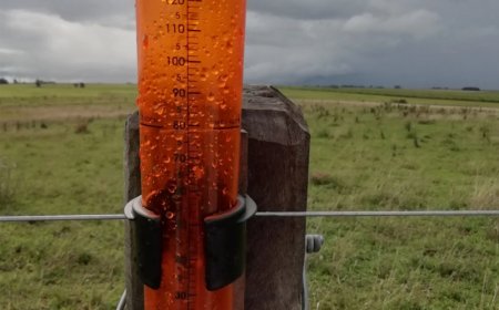 181 mm llovió en la ciudad del Carmen - Registro de aguas caídas en el Departamento