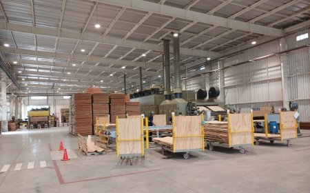 Planta forestal inició operativa en Treinta y Tres