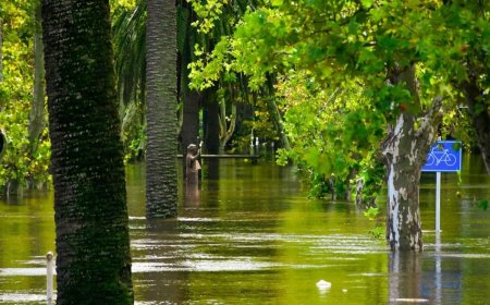 El Comité Departamental de Emergencias de Durazno realizó a una conferencia de prensa hoy
