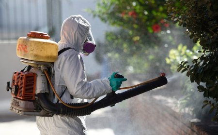 MSP creó un protocolo por casos de dengue en Salto