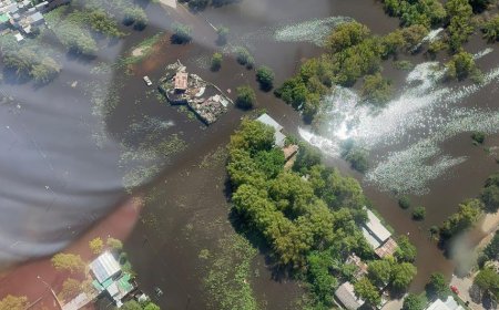 Hay menos personas evacuadas, pero más autoevacuadas