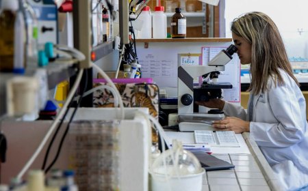 La ciencia se acerca a la posibilidad de rejuvenecer el sistema inmunitario