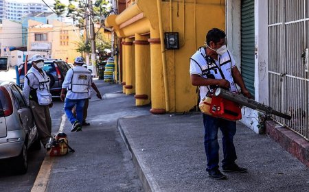 OPS advierte que se espera la peor temporada de dengue en la historia en América Latina