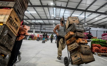 Lluvias de los últimos días afectaron algunos cultivos y provocaron subas