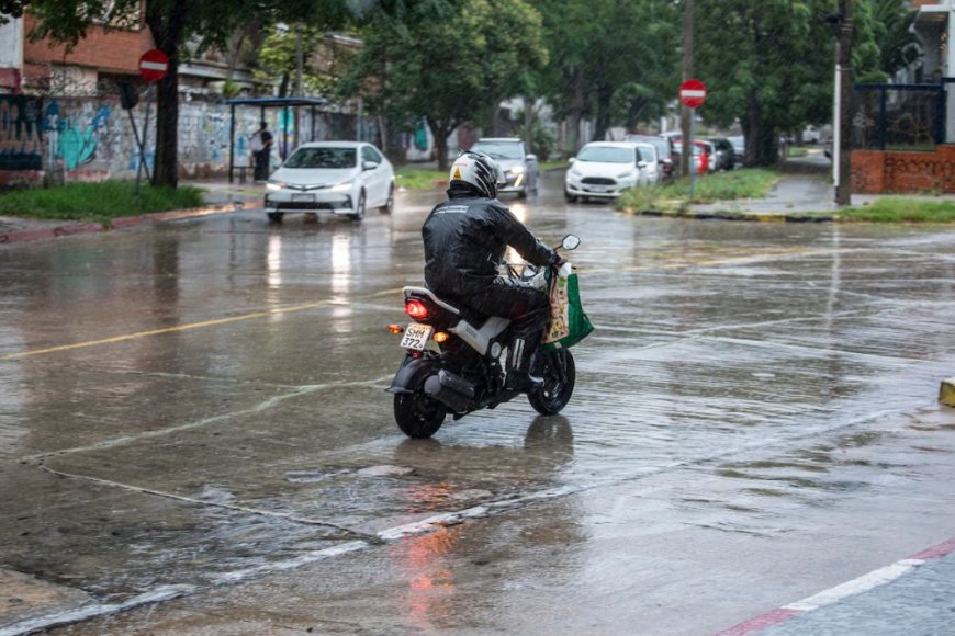 Montevideo: Más de 20 árboles caídos, cunetas obstruidas y calles inundadas