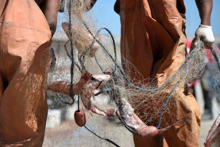 El Ministerio de Trabajo otorgará seguro de paro especial para trabajadores de la pesca