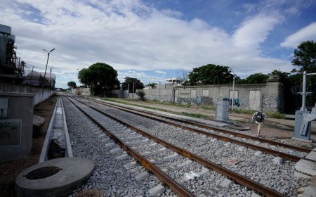 Este martes ingresará al Puerto de Montevideo el primer tren con celulosa