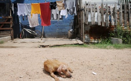 La pobreza se ubicó en 10,1 % en 2023