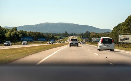 Más de 90.000 argentinos han ingresado al país, desde el 22 de marzo
