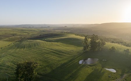 Estudiantes de Minas tendrán un predio auxiliar nuevo en zona estratégica para sus prácticas educativas