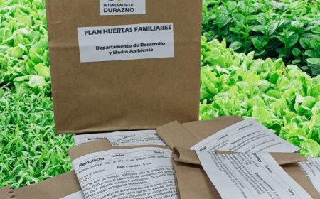 Sábado: entrega de semillas en los Centros de Integración Barrial