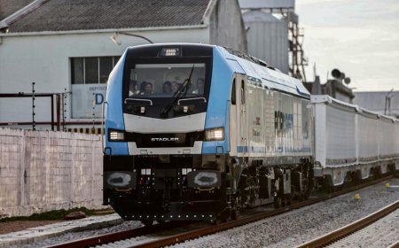 UPM comenzó a transportar en tren la celulosa de su segunda planta